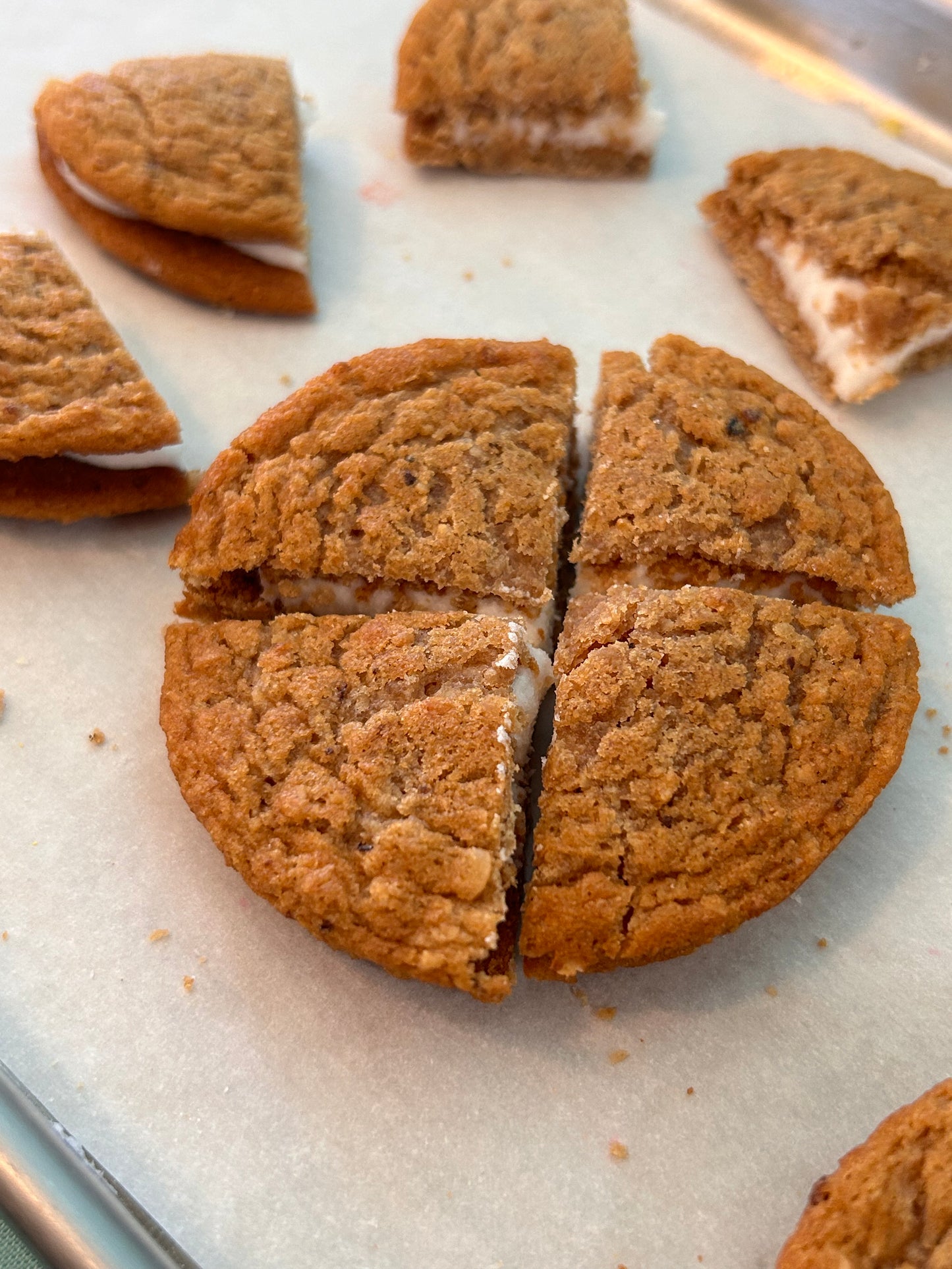 Freeze Dried Oatmeal CreamPie